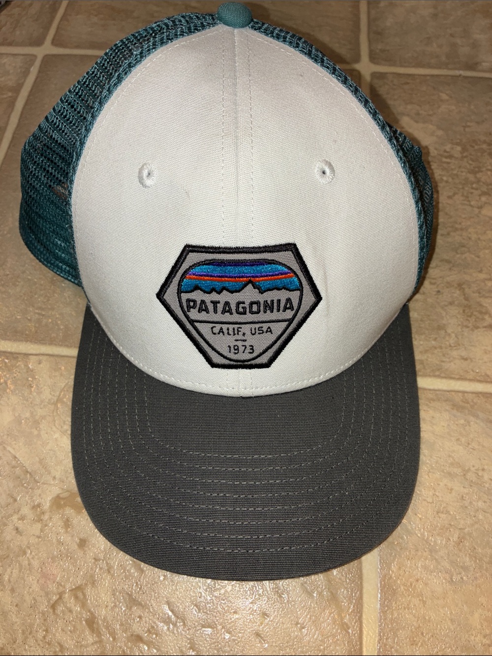 Patagonia Trucker Hat